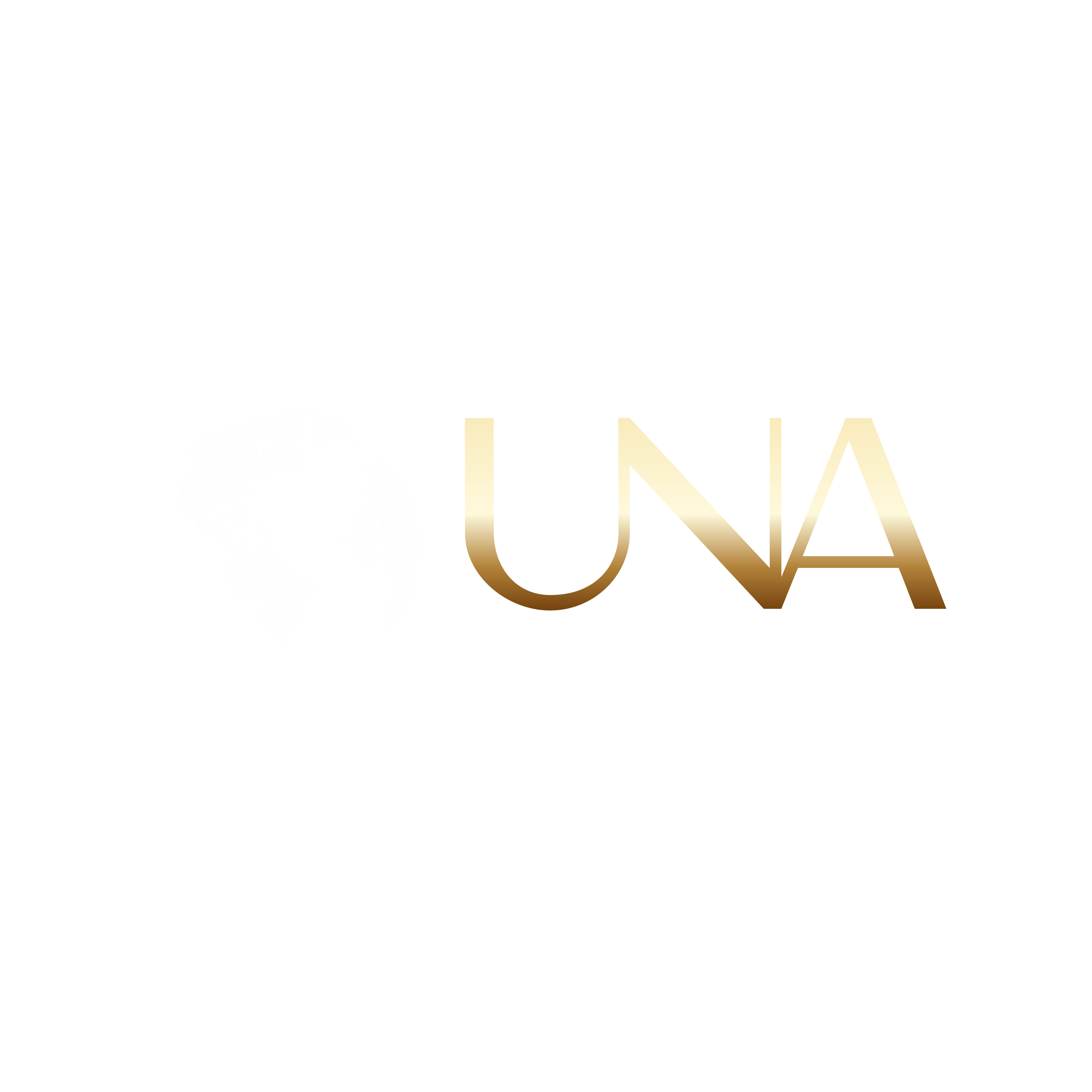UNA Solutions